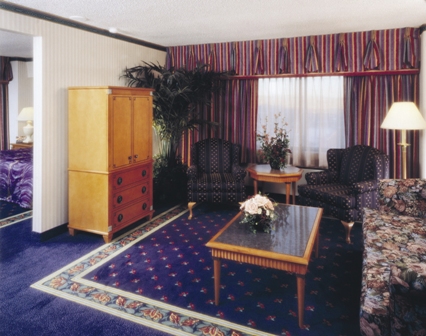 Sky Tower Mini Suite